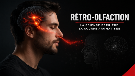 Schéma illustrant la rétro-olfaction et le lien entre odorat, cerveau et perception du goût dans une gourde aromatisée
